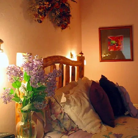The Sassy Moose Inn-2